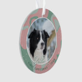 Premier Noël de chiot Border Collie Photo (devant)