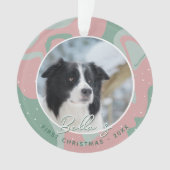 Premier Noël de chiot Border Collie Photo (devant)