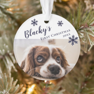 Premier Noël de chiot Nom et photo du chien