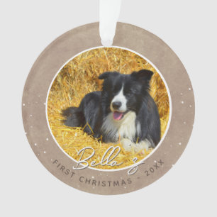 Premier Noël de chiot rustique Photo de chien
