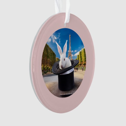 Premier Noël de Paris Rabbit (devant)