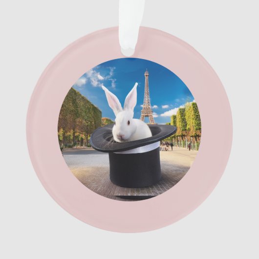 Premier Noël de Paris Rabbit (devant)