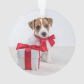 Premier Noël de votre chien | Charbon avec photos (dos)