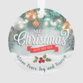 Premier Noël en tant que Monsieur. & Mme Ornament (dos)