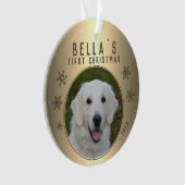 Premier Noël Gold Snowflake Puppet Photo (devant)