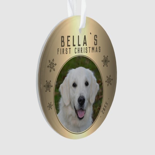 Premier Noël Gold Snowflake Puppet Photo (devant)