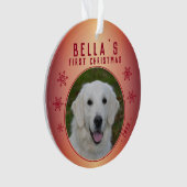 Premier Noël Red Snowflake Puppet Photo (devant)