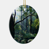 Premier ornement de lumière (Droite)