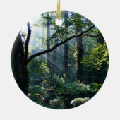 Premier ornement de lumière (Dos)