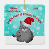 Premier ornement de Noël du chat personnalisé (Dos)