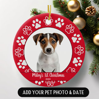 Premier ornement Empreinte de patte de Noël pour a