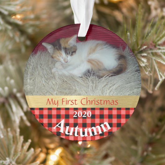 Premier ornement photo de Noël de Kitten (Arbre)