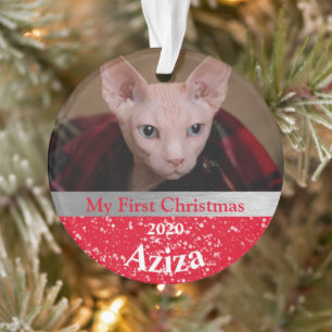 Premier ornement photo de Noël de Kitten