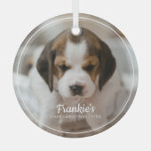 Premier ornement photo de Noël de l'animal de comp (Recto)