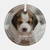 Premier ornement photo de Noël de l'animal de comp (Verso)