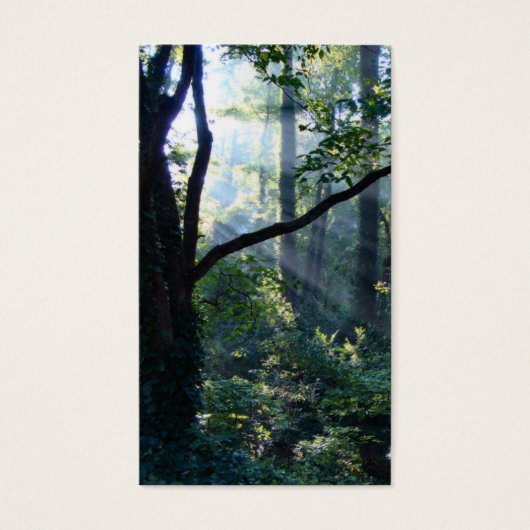 Premier Signet (Devant)