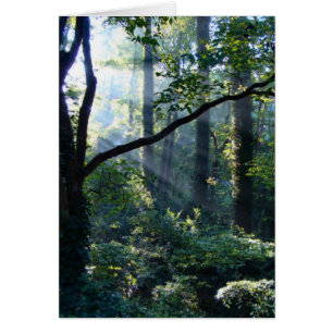 Première carte lumineuse