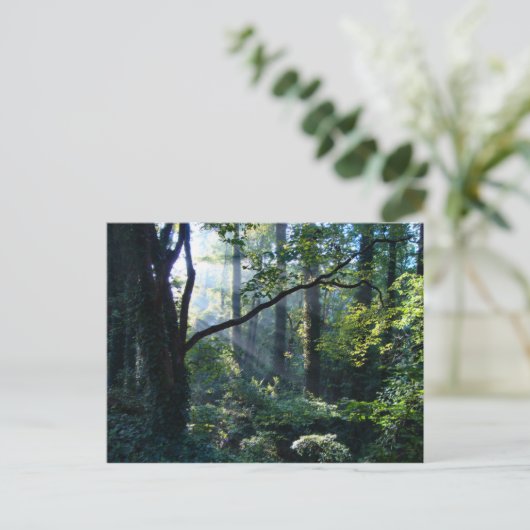 Première carte postale (Debout devant)