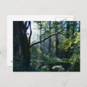 Première carte postale (Devant / Derrière)