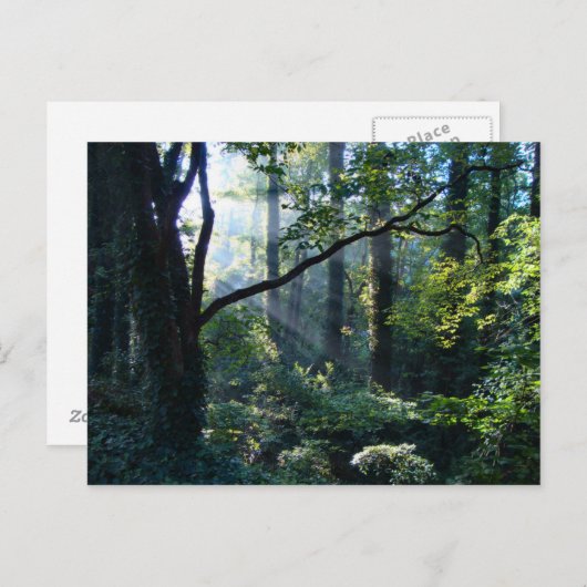 Première carte postale (Devant / Derrière)