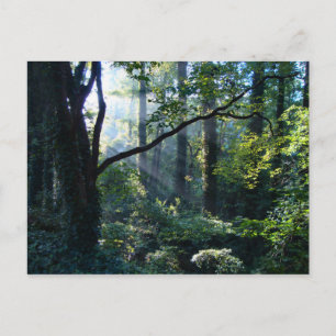 Première carte postale