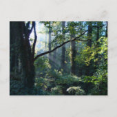 Première carte postale (Devant)