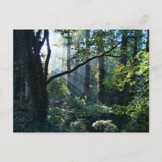 Première carte postale (Devant)