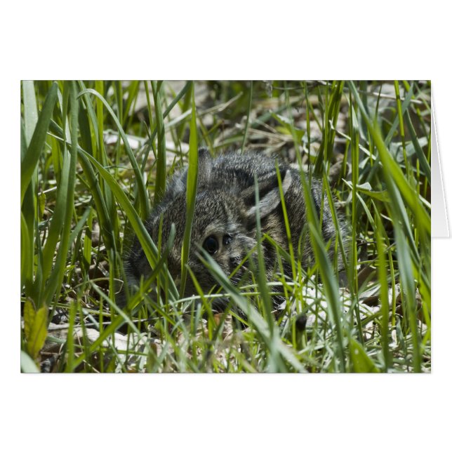 PREMIÈRE DÉPART (Devant horizontal)