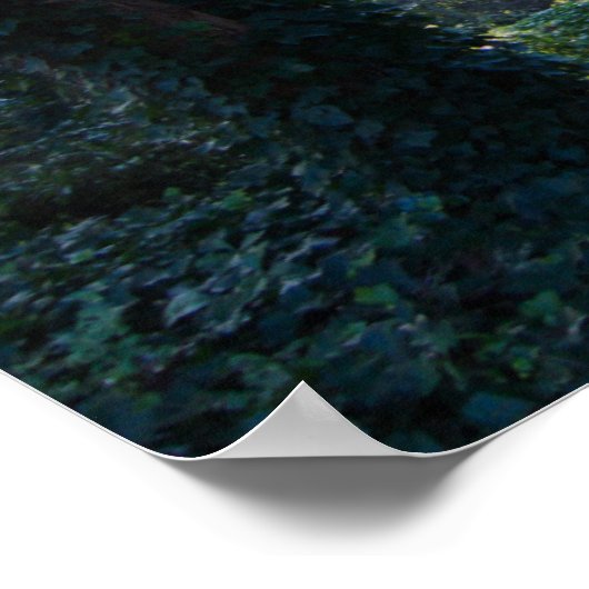 Première impression (Coin)