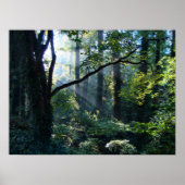 Première impression (Devant)