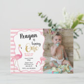 Première invitation de photo de Flamant rose (Debout devant)