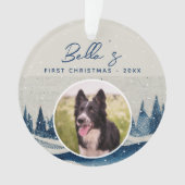 Première Noël de chiot forêt d'hiver Photo de chie (devant)