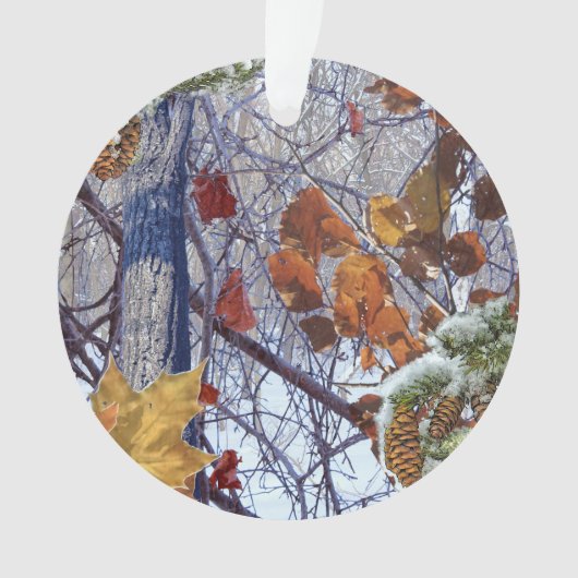 Première peinture de camouflage de scène d'hiver (devant)