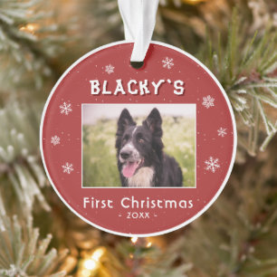 Première photo de chiot de Noël aux flocons de nei