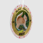 Première photo de Noël de Kitten personnalisé (devant)