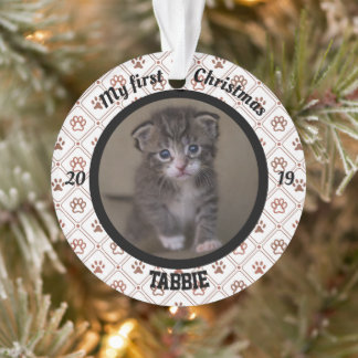 Première photo de Noël de Kitten personnalisé
