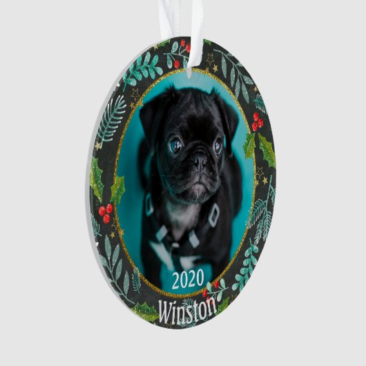 Première photo de Noël de la chienne (devant)