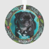 Première photo de Noël de la chienne (dos)