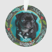 Première photo de Noël de la chienne (devant)