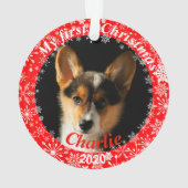 Première photo de Noël de la chienne (dos)