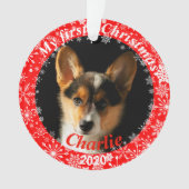 Première photo de Noël de la chienne (devant)