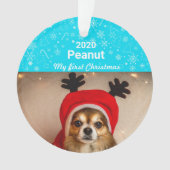 Première photo de Noël de la chienne (devant)