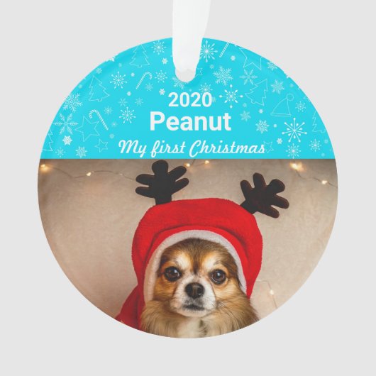 Première photo de Noël de la chienne (devant)