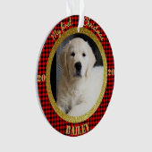 Première photo de Noël de la chienne (devant)