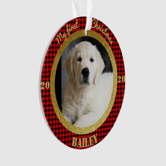 Première photo de Noël de la chienne (devant)