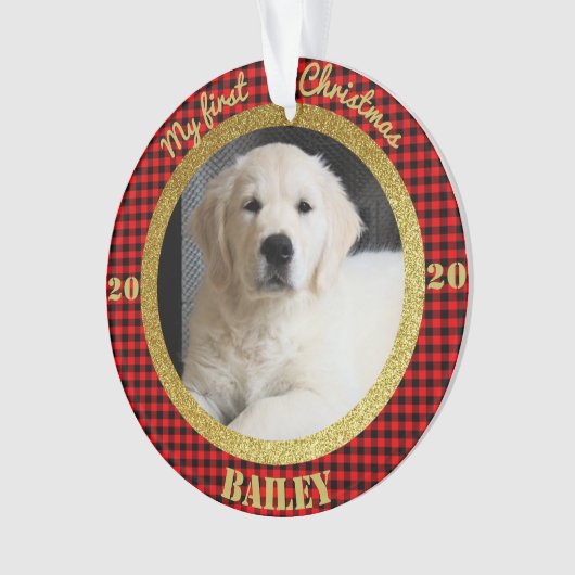 Première photo de Noël de la chienne (devant)