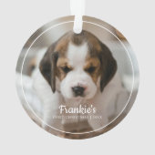 Première photo de Noël de l'animal de compagnie mo (dos)