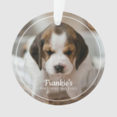 Première photo de Noël de l'animal de compagnie mo (devant)