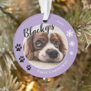 Première photo de nom de chien de Noël