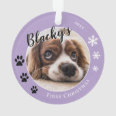 Première photo de nom de chien de Noël (dos)